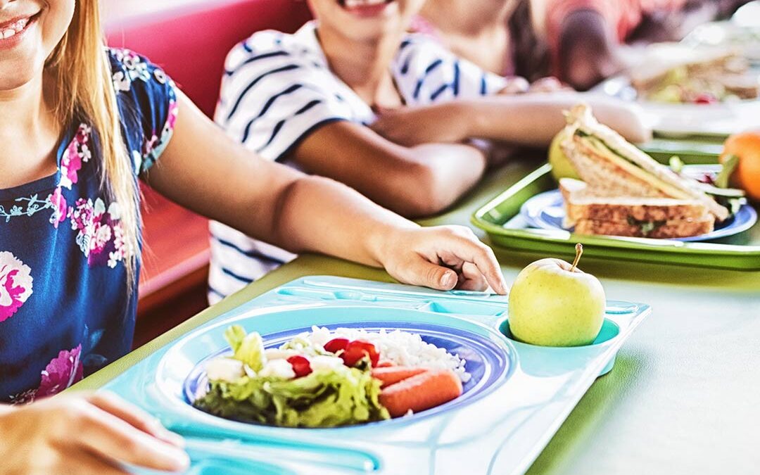 Qui décide des menus à la cantine ?