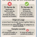 Différence : "en terme de" ou "en termes de" ?